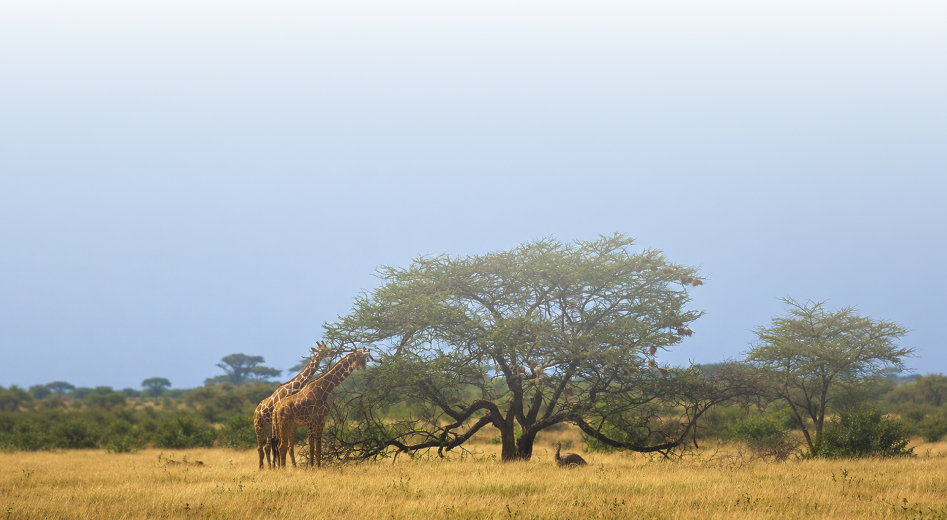 Destinations bg